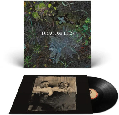 The Dragonflies • Dragonflies