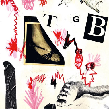 Teri Gender Bender: • Tgb