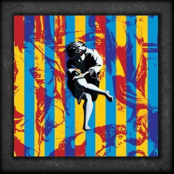 Guns N'roses • Use Your Illusion/ltd
