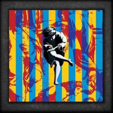 Guns N'roses • Use Your Illusion/ltd