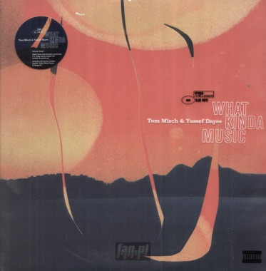 Tom Misch + Yussef Dayes • What Kinda Music