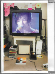 Bjork • Live At Shepherds Bush Empire