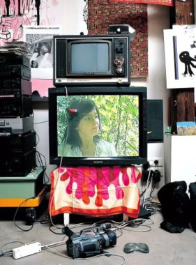 Bjork • Minuscule Documentary
