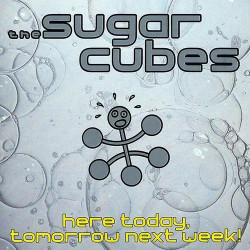 Sugarcubes Here Today, Tomorrow • Sugarcubes Here Today, Tomorrow