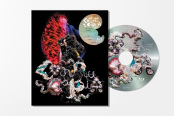 Bjork • Cornucopia  Live