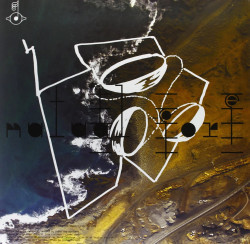 Bjork • Biophilia Remix Series 8