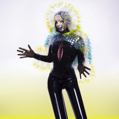 Bjork Vulnicura • Bjork Vulnicura