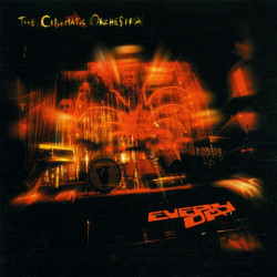 The Cinematic Orchestra • Every Day