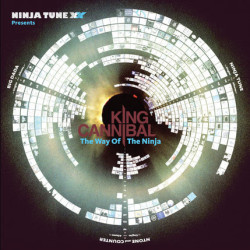 Various Artists • Ninja Tune Xx Presents