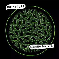 Mr. Scruff • Friendly Bacteria