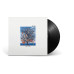 Talk Talk • Spirit Of Eden