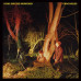Echo & The Bunnymen • Crocodiles