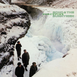 Echo & The Bunnymen • Porcupine