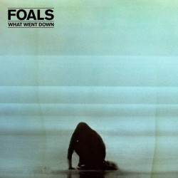 Foals • What Went Down / 140Gr.