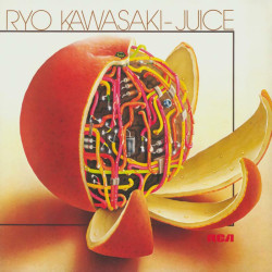 Ryo Kawasaki • Juice-Nb