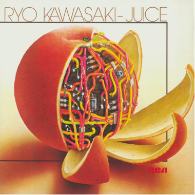 Ryo Kawasaki • Juice-Nb
