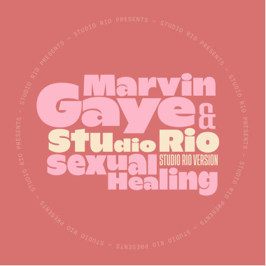 Marvin Gaye & Studio Rio • 7-Sexual Healing