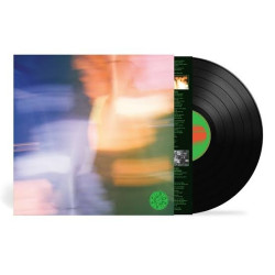 Curio Curio • Curio Curio