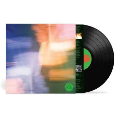 Curio Curio • Curio Curio