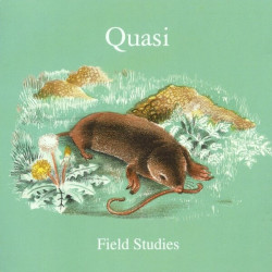 Quasi • Field Studies