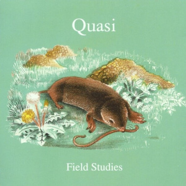Quasi • Field Studies