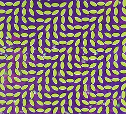Animal Collective • Merriweather Post Pavilion