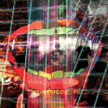Animal Collective • Centipede Hz