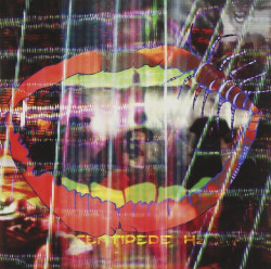 Animal Collective • Centipede Hz (digipack)