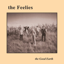 The Feelies • Good Earth