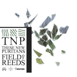 These New Puritans • Field Of Reeds