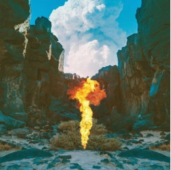 Bonobo • Migration