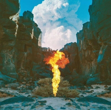 Bonobo • Migration