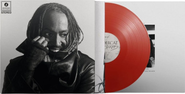 Thundercat • Distracted