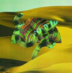 Django Django • Django Django