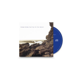 Polygon Window • Surfing On Sine Waves