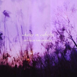 Whales In Cubicles • Death In The Evening