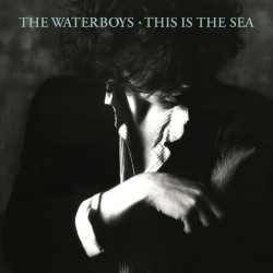 The Waterboys This Is the Sea (Collectors Edition) • The Waterboys This Is the Sea (Collectors Edition)