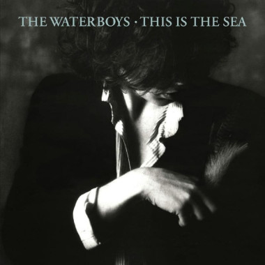 The Waterboys This Is the Sea (Collectors Edition) • The Waterboys This Is the Sea (Collectors Edition)