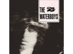 WATERBOYS, THE • THE WATERBOYS