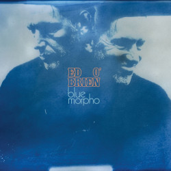 O´Brien, Ed • Blue Morpho