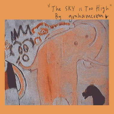 Coxon, Graham • Sky Is Too High