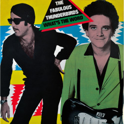 Fabulous Thunderbirds • What´S The Word