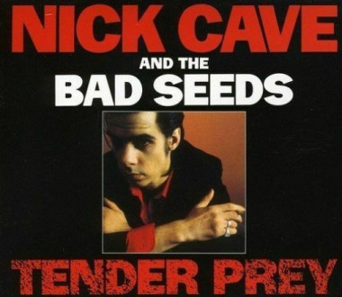 Nick Cave & The Bad Seeds • Tender Prey (CD+DVD)