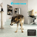 Grinderman: • Grinderman 2