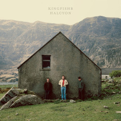 Kingfishr: • Halcyon