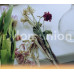 Nylon Union (CD) • Nylon Union (CD)
