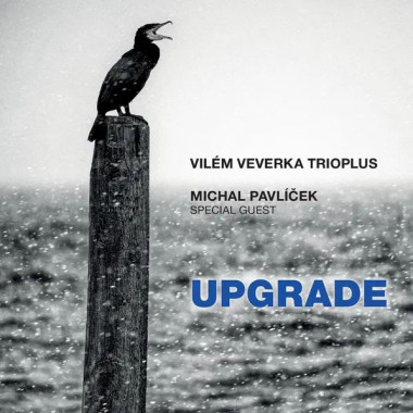 Vilém Veverka Trioplus, Michal • Upgrade