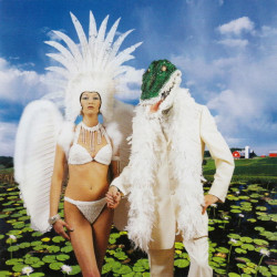Paul Gilbert Alligator Farm • Paul Gilbert Alligator Farm