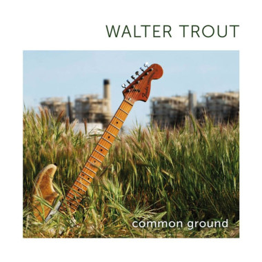Walter Trout • Common Ground