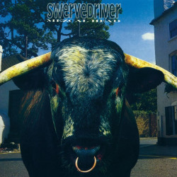 Swervedriver • Mezcal Head